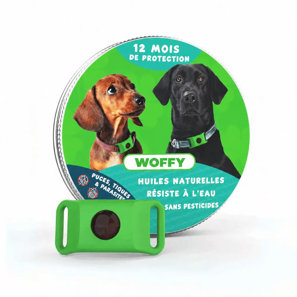 Wofclap® — Clip naturel anti-puces & anti-tiques pour chien