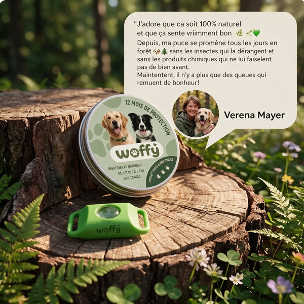 Wofclap® — Clip naturel anti-puces & anti-tiques pour chien