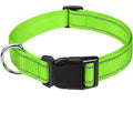 Collier Woffy