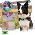 Wofclap® — Clip naturel anti-puces & anti-tiques pour chien
