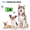 Wofclap® — Clip naturel anti-puces & anti-tiques pour chien