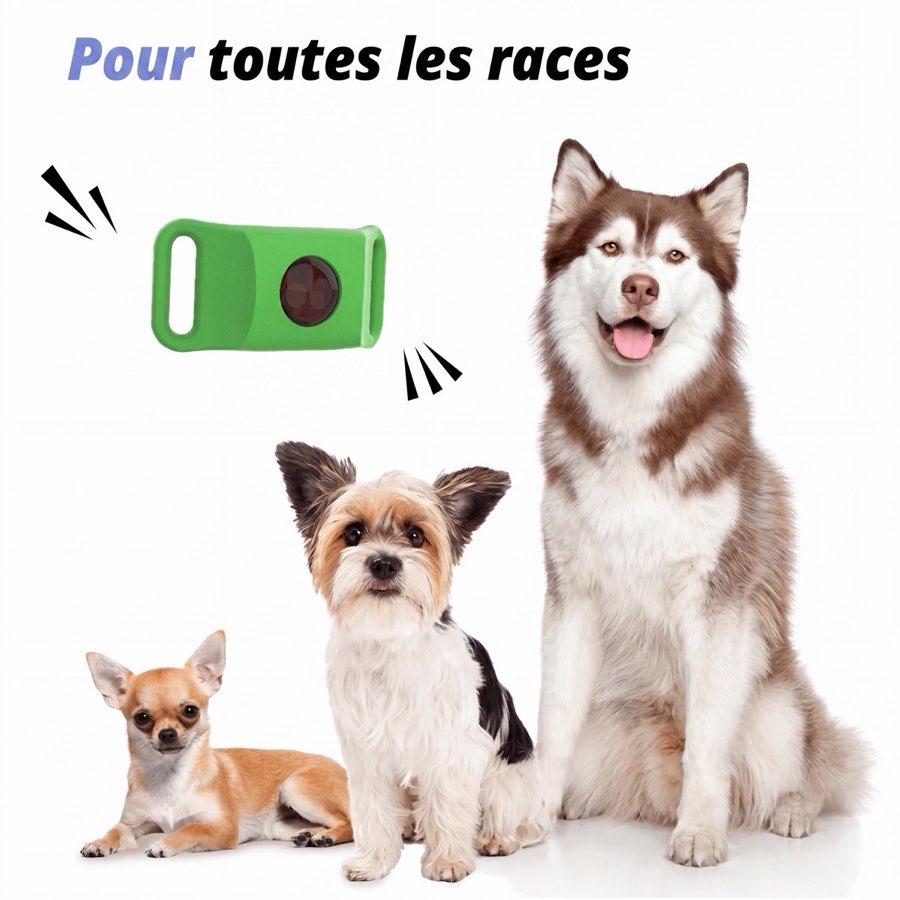 Le clip Wofclap et des chiens de toutes tailles