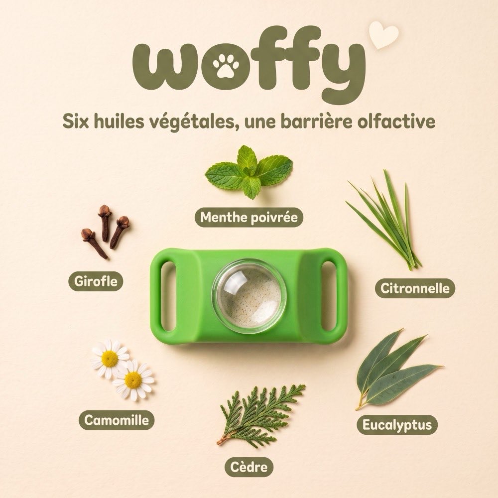 Le clip Wofclap entouré de ses six huiles végétales